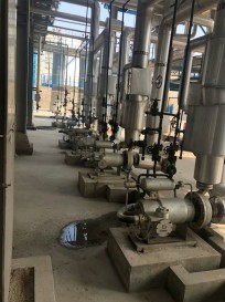 星空app官方版下载安卓